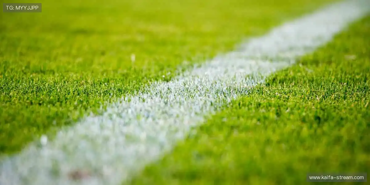 全景电子游戏空间:智能匹配公平对局,新手大神都能尽兴